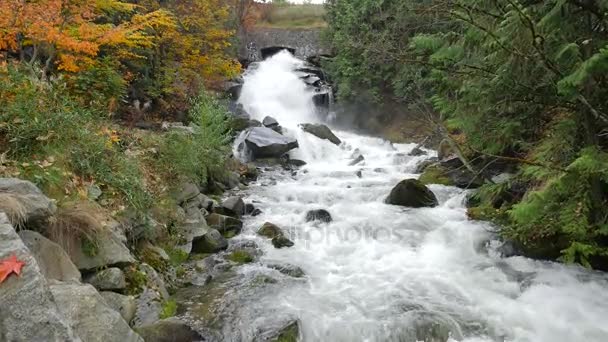 Rapide d'acqua che scorrono lungo il torrente — Video Stock