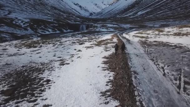Пташиного Польоту Людей Походів Шлях Великої Горі Денний Час Ісландія — стокове відео