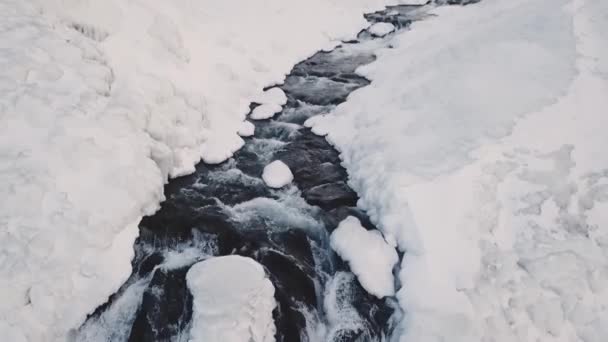 Luftaufnahme Des Wasserfalls Seljalandsfoss Winter Bei Tag Island — Stockvideo