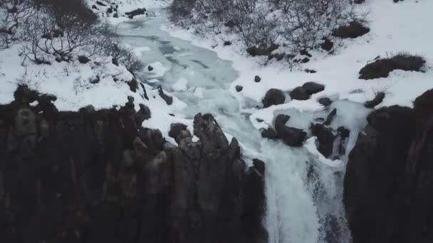 Luchtfoto Van Grote Lava Kolom Watervallen Svartifoss Ijsland — Stockvideo