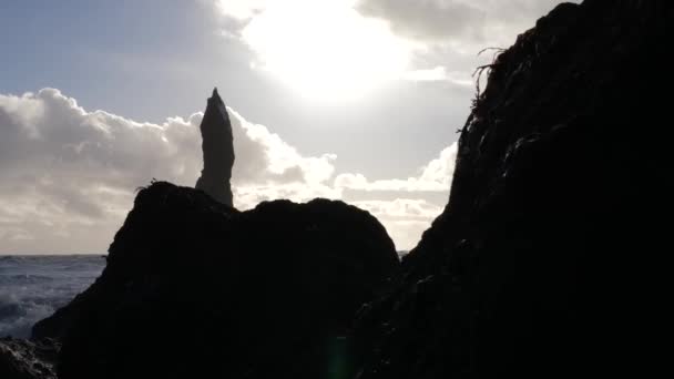 黑色沙滩玄武岩岩石形成的景观巨人脚趾在白天 — 图库视频影像