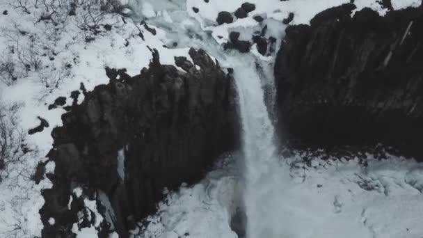 Widok Lotu Ptaka Dużych Lawy Kolumna Wodospadów Svartifoss Islandia — Wideo stockowe