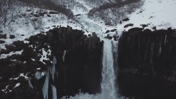 Vue Aérienne Grandes Cascades Colonne Lava Svartifoss Islande — Video