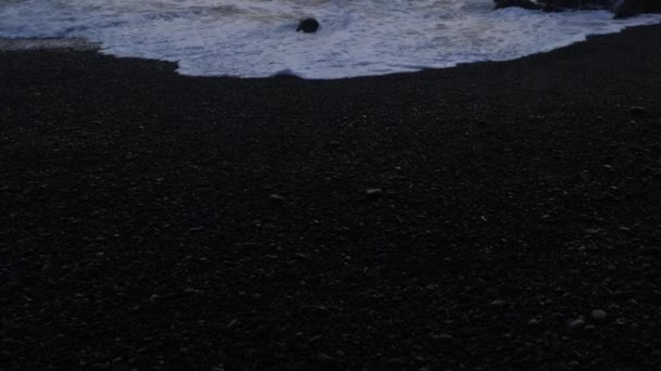 在冰岛的黑色沙滩上 玄武岩岩石形成的巨魔脚趾的看法 — 图库视频影像