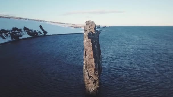 Αεροφωτογραφία Των Hvitserkur Πετρωμάτων Κατά Διάρκεια Της Ημέρας Χειμώνα Ισλανδία — Αρχείο Βίντεο