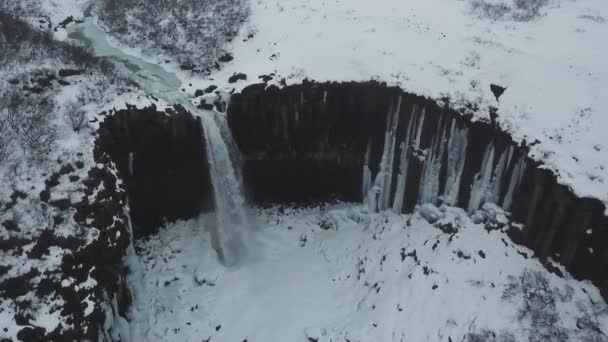 Luftaufnahme Der Großen Lavasäule Wasserfälle Svartifoss Island — Stockvideo