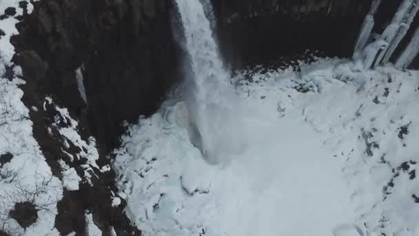 Vista Aérea Grandes Cascadas Columna Lava Svartifoss Islandia — Vídeo de stock