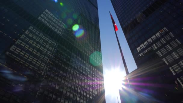 Tower Two Tall Downtown Office Buildings Sunny Day — Stock Video