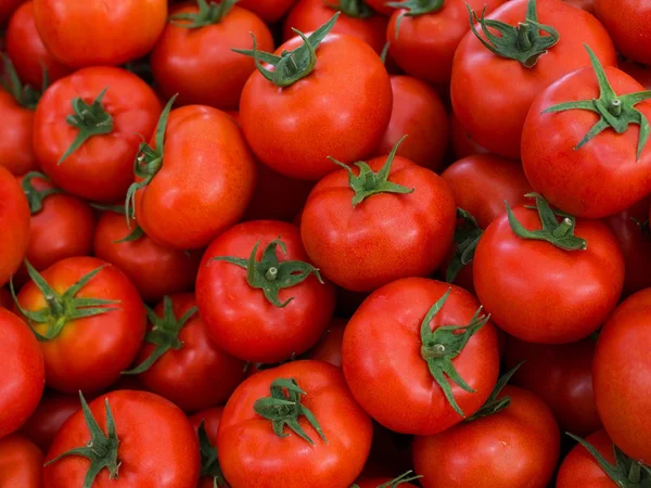 Deliciosos tomates vermelhos frescos. Mercado de verão cheio de tomates orgânicos. Pode ser usado como fundo . — Fotografia de Stock