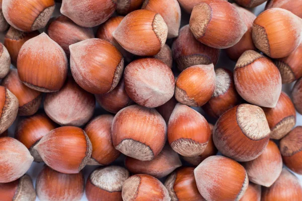 Fındık. Taze organik fındık