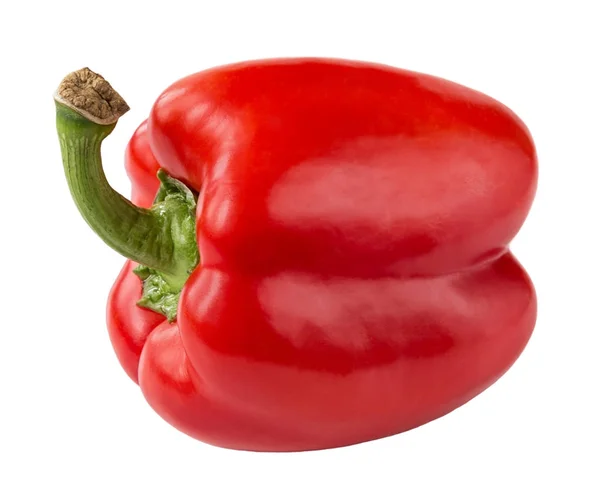 Isolierte süße rote bulgarische Paprika auf weißem Hintergrund Stockbild