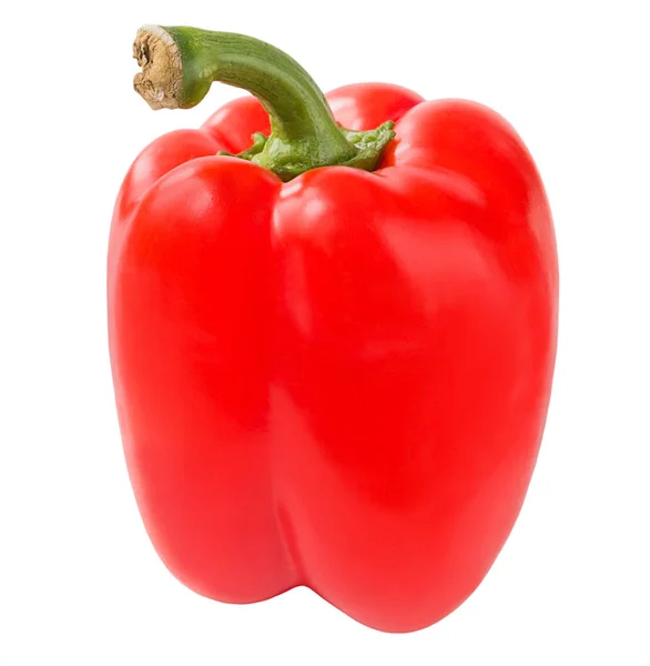 Изолированный сладкий красный болгарский перец на белом фоне — стоковое фото