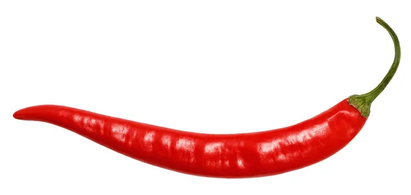 Érett piros chili paprika elszigetelt fehér alapon — Stock Fotó