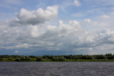 Karanlık norhtern orman