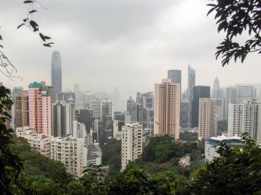 Ormanın içinde gökdelenler