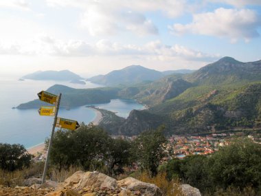 Mediterranean kışın defne