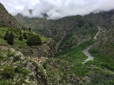 Dağda sonbahar renkleri