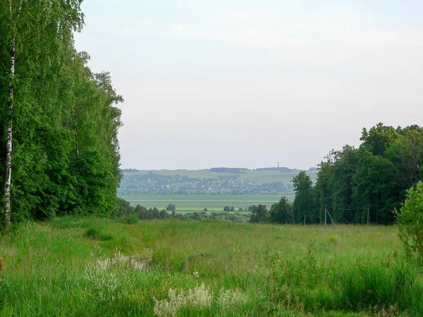 Letní pole v Rusku — Stock fotografie