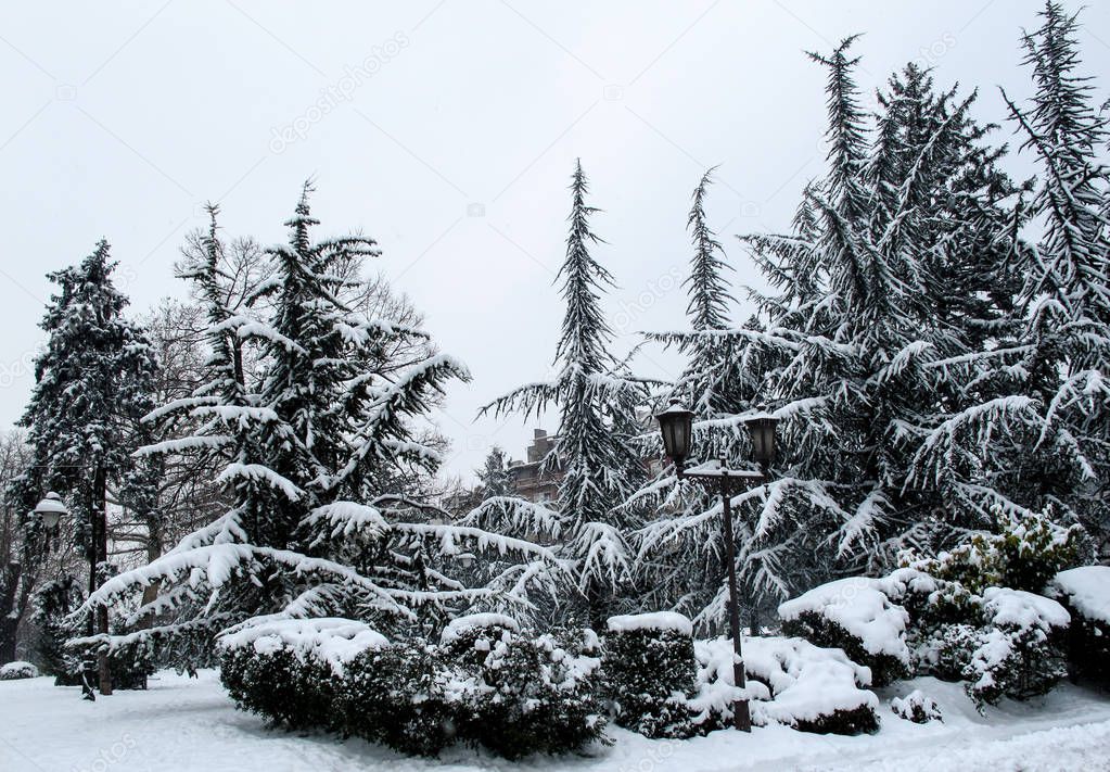 Snow-covered park