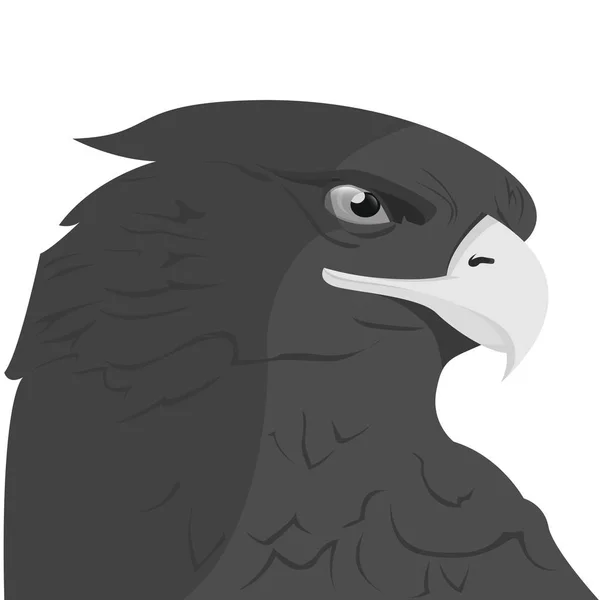 Adlerkopf Logo Vorlage Falken Maskottchen Grafik Porträt Eines Weißkopfadlers Vektor — Stockvektor