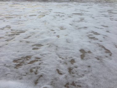 Deniz dalga köpüğü bir plaj kenarında. Dalga huzurlu okyanus plaj.