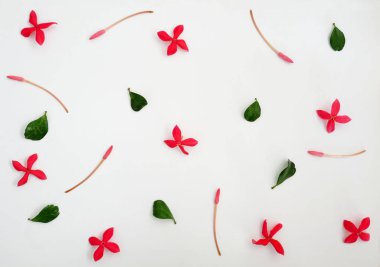 çiçekler ve yapraklar desen. 