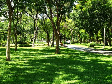 Şehir Parkı