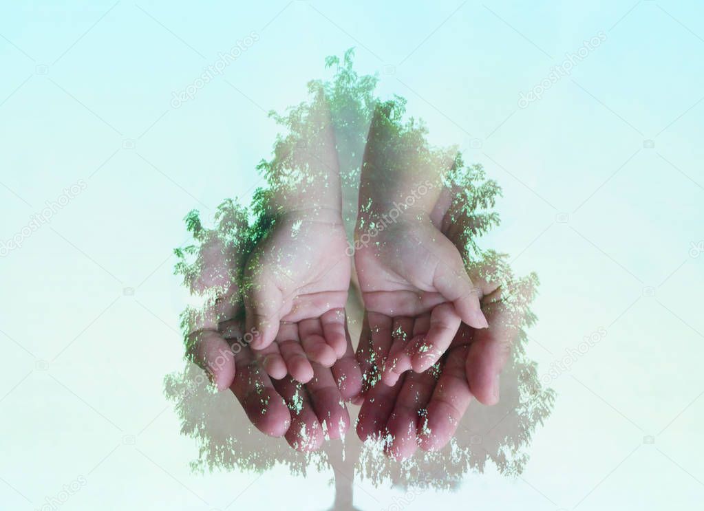 Small hand on big hand combined with a big tree