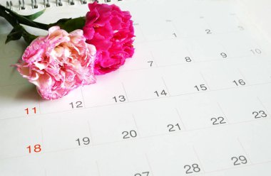 Takvimde çiçek