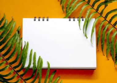  boş defter ile tropikal yaprak 