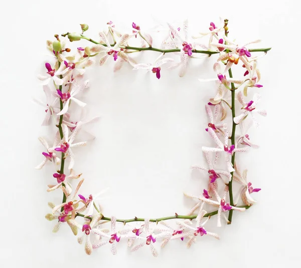 Frame gemaakt van orchideebloemen. — Stockfoto