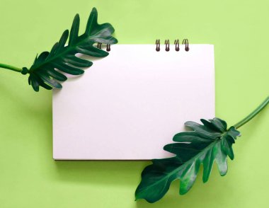  boş defter ile tropikal yaprak 