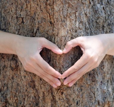 Eller kalp şeklinde.