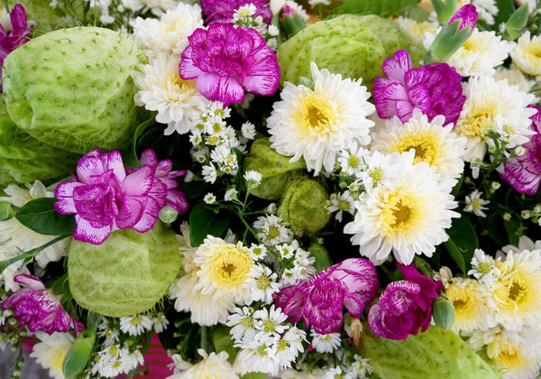 Varias flores de colores . — Foto de Stock