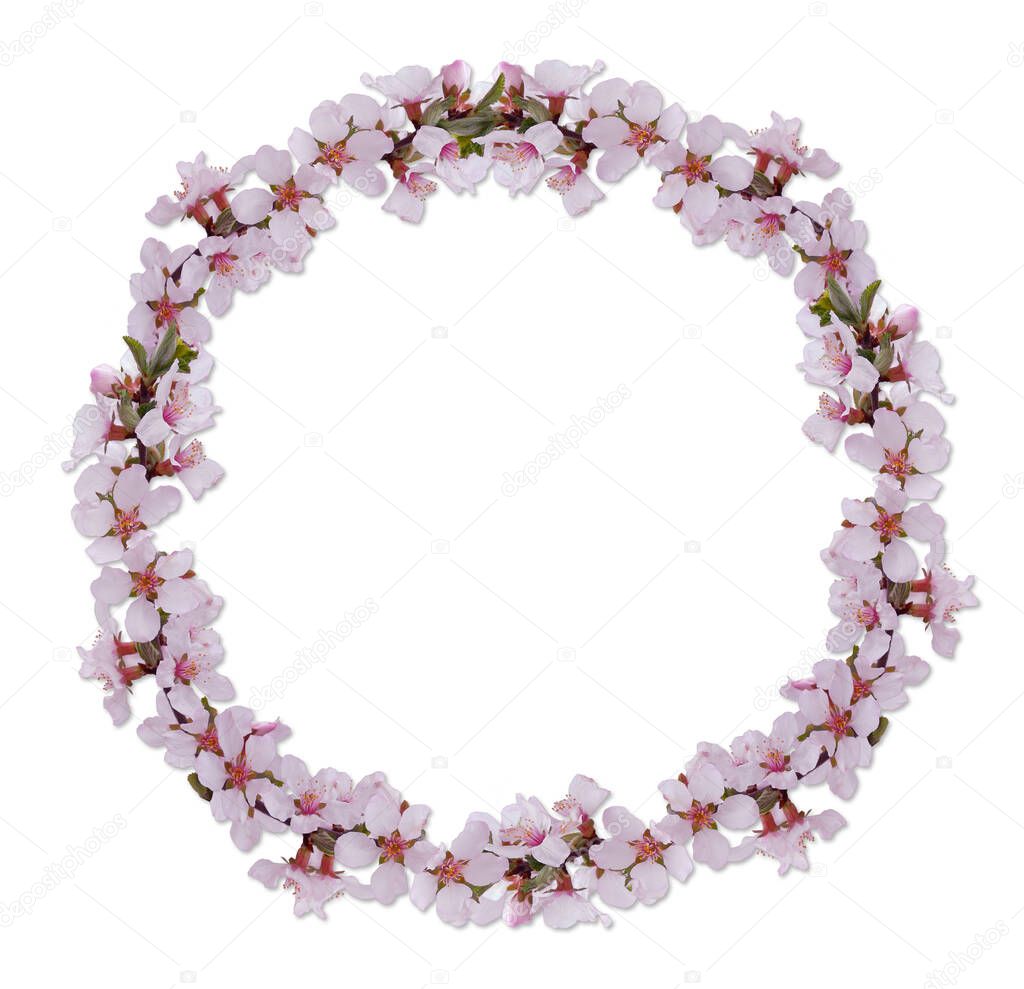 Spring flowers wreath of cherry blossom
