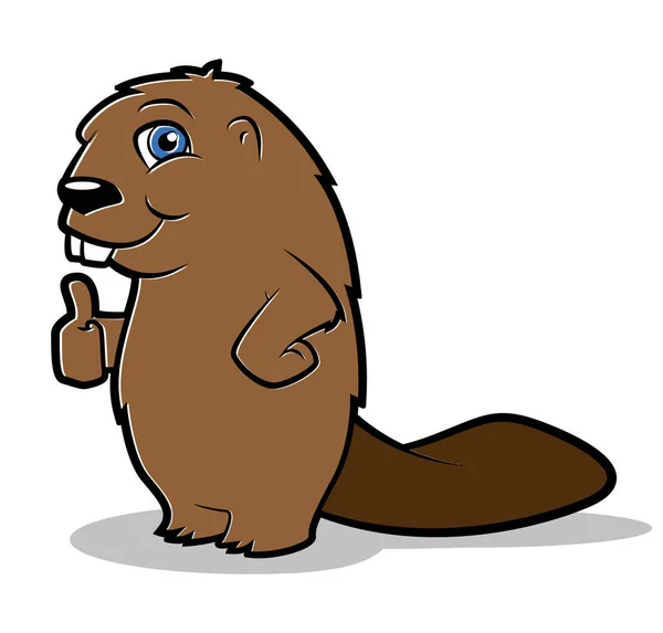 Beaver Thumbs Up — Stock Vector