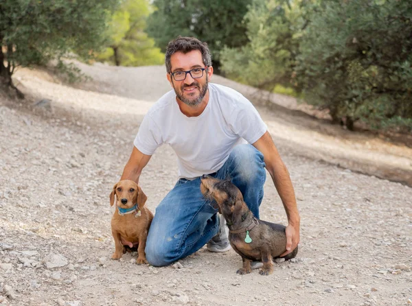 Hombre Propietario Feliz Con Dos Viejos Perros Dulces Dachshund Divirtiéndose — Foto de Stock