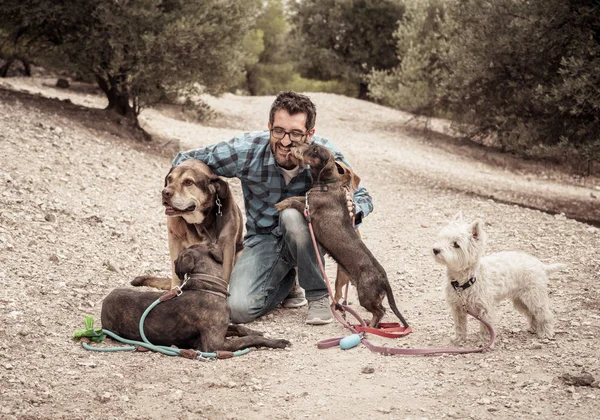 Profesional Paseador Perros Cuidador Mascotas Con Paquete Lindos Perros Diferentes — Foto de Stock