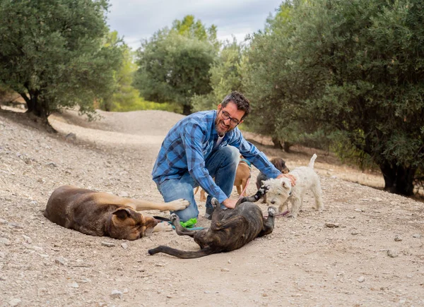 Profesional Paseador Perros Cuidador Mascotas Con Paquete Lindos Perros Diferentes — Foto de Stock