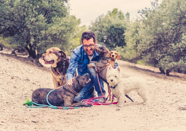 Caminhante Profissional Cão Pet Sitter Com Pacote Raça Diferente Bonito — Fotografia de Stock