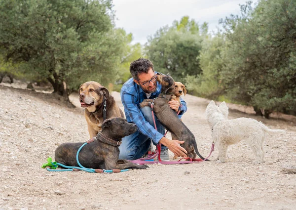 Profesional Paseador Perros Cuidador Mascotas Con Paquete Lindos Perros Diferentes — Foto de Stock