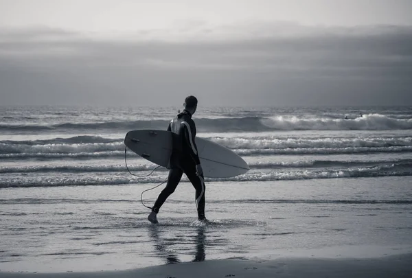 Attractive surfer with surfboard on the beach surfing at sunset or sunrise. Extreme sport, outdoors water sports, surf vacation and adventure lifestyle concept.