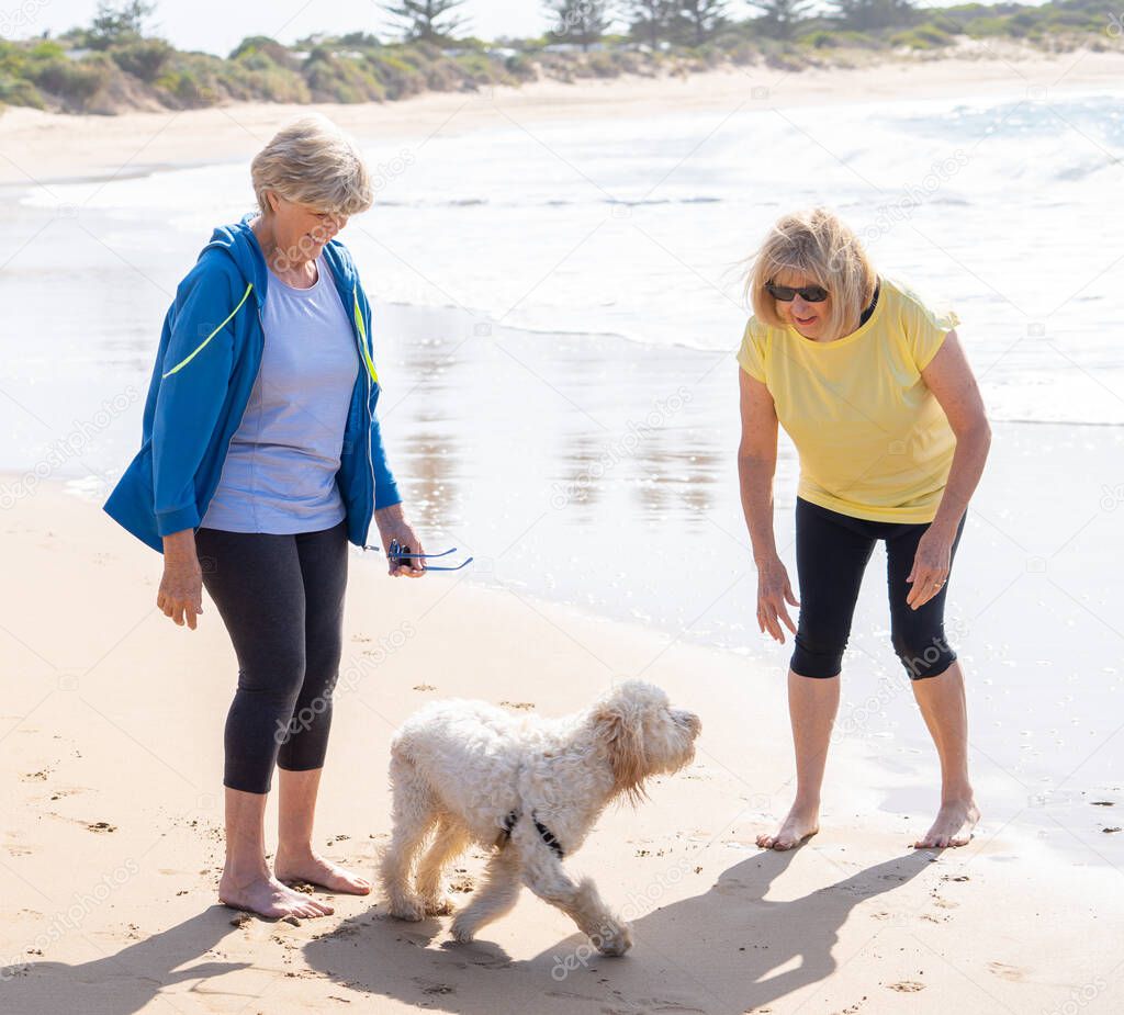 Happy senior girlfriends walking and playing with dog enjoying companionship and dog friendly beach. In pet animals benefits, Happy active elderly, retirement and healthy lifestyle,
