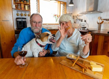 COVID-19, bağlantıda kal. Evcil köpeği ve şarap videosu olan mutlu yaşlı çift laptoptan arkadaşlarını arıyor ya da Coronavirus kısıtlamalarını gevşetip aileleriyle sohbet ediyor. Umut kavramı.