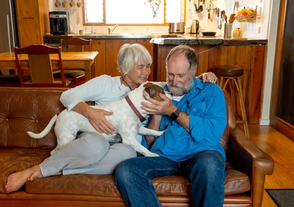 Confident senior couple relaxing and loving their cute pet dog enjoying life at home together. Positive image of coronavirus Outbreak Stay Safe and animal benefits for mental health Concept.