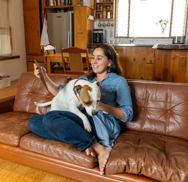 Trabajando Desde Casa Mujer Sofá Con Lindo Perro Compañía Utilizando —  Fotos de Stock