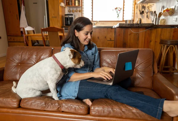 Trabalhar Casa Mulher Sofá Com Cão Estimação Bonito Usando Laptop — Fotografia de Stock