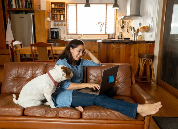 Working Home Woman Sofa Cute Pet Dog Using Laptop Video — Stock Photo, Image