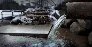 bir çevre felaketi sonucu