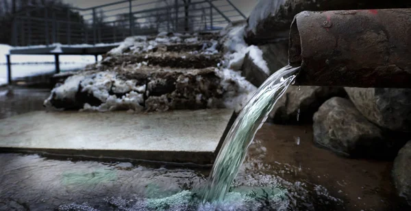 bir çevre felaketi sonucu